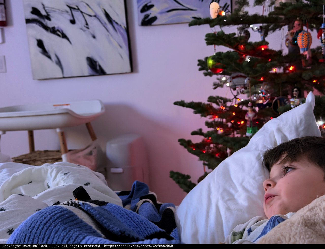 Child Gazing at Christmas Tree on Winter Morning