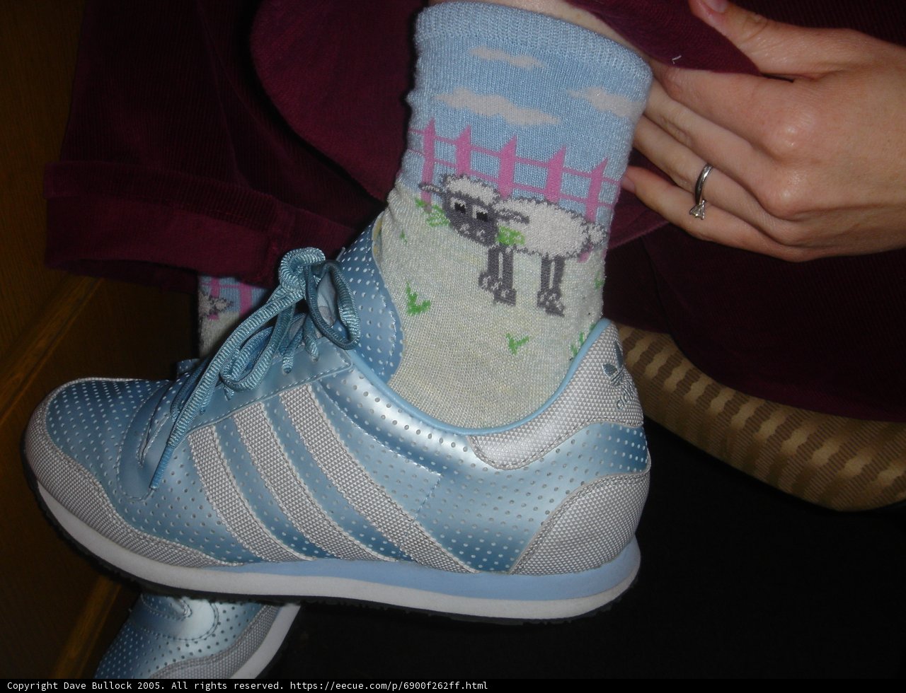 Blue Shoes on a Person