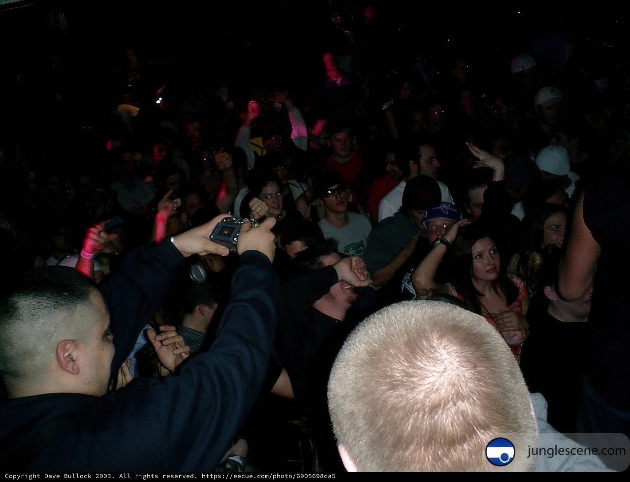 Nightclub Concert Vibes