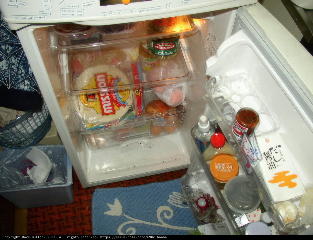 Stocked Up Fridge
