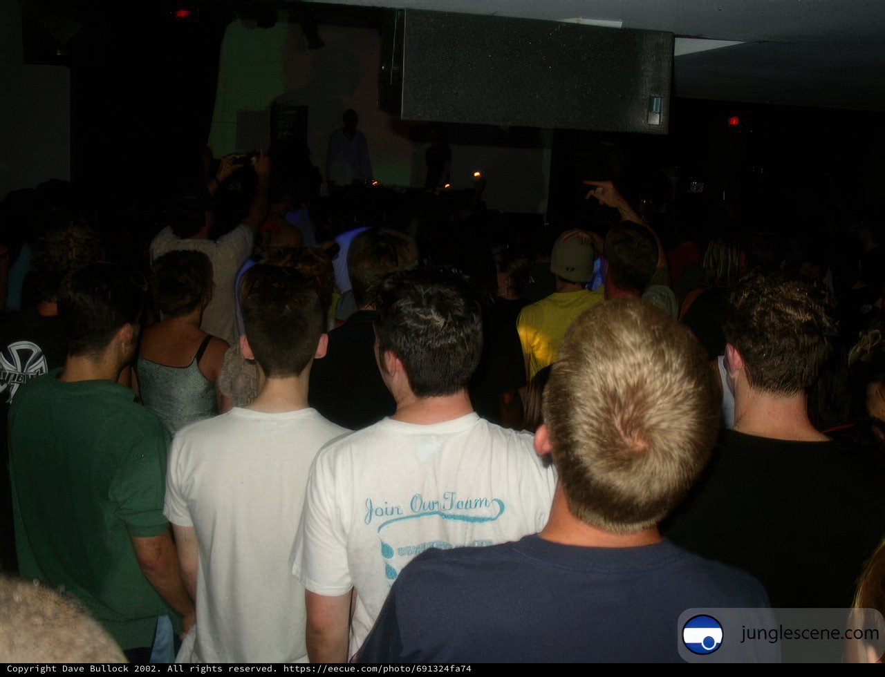 Night Club Crowd Watching DJ