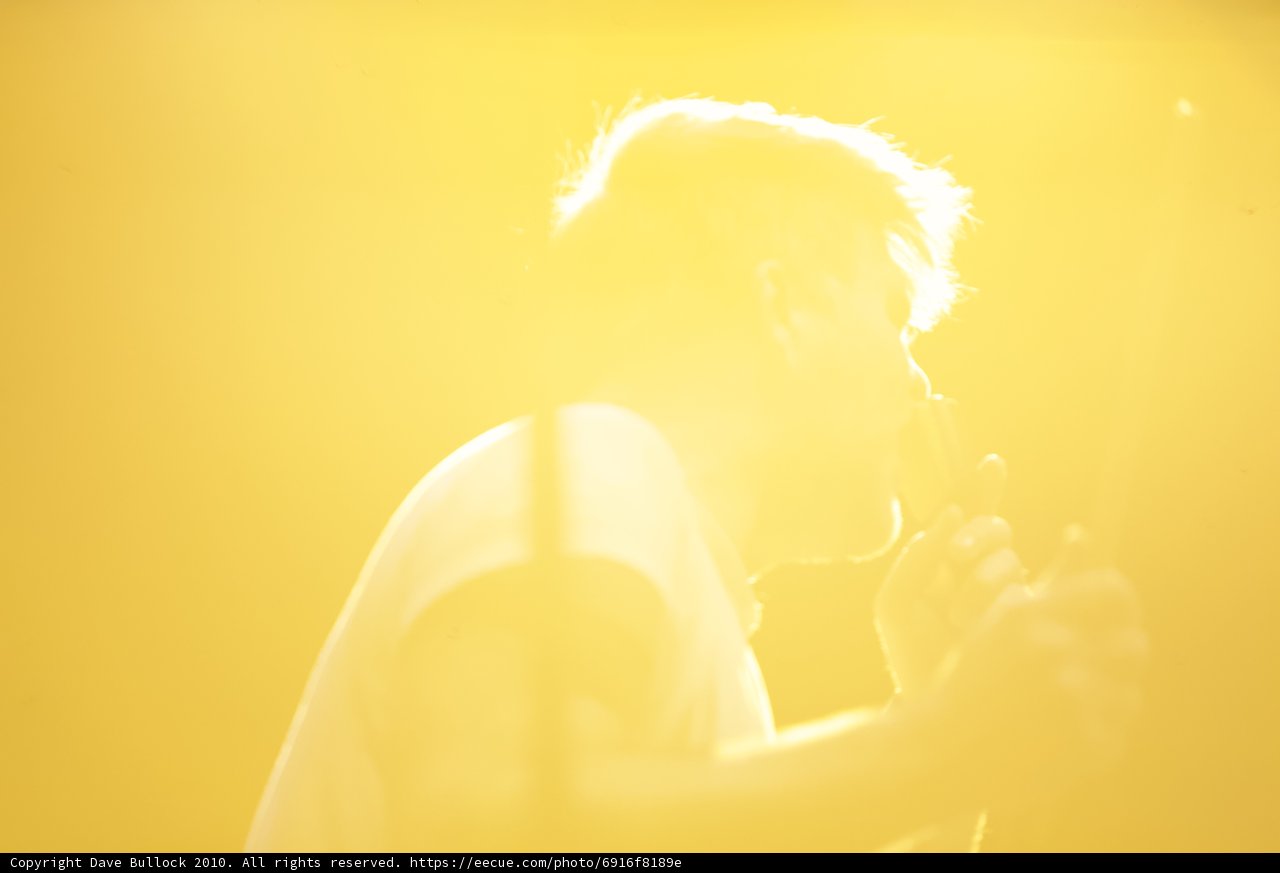 Sunny Serenade