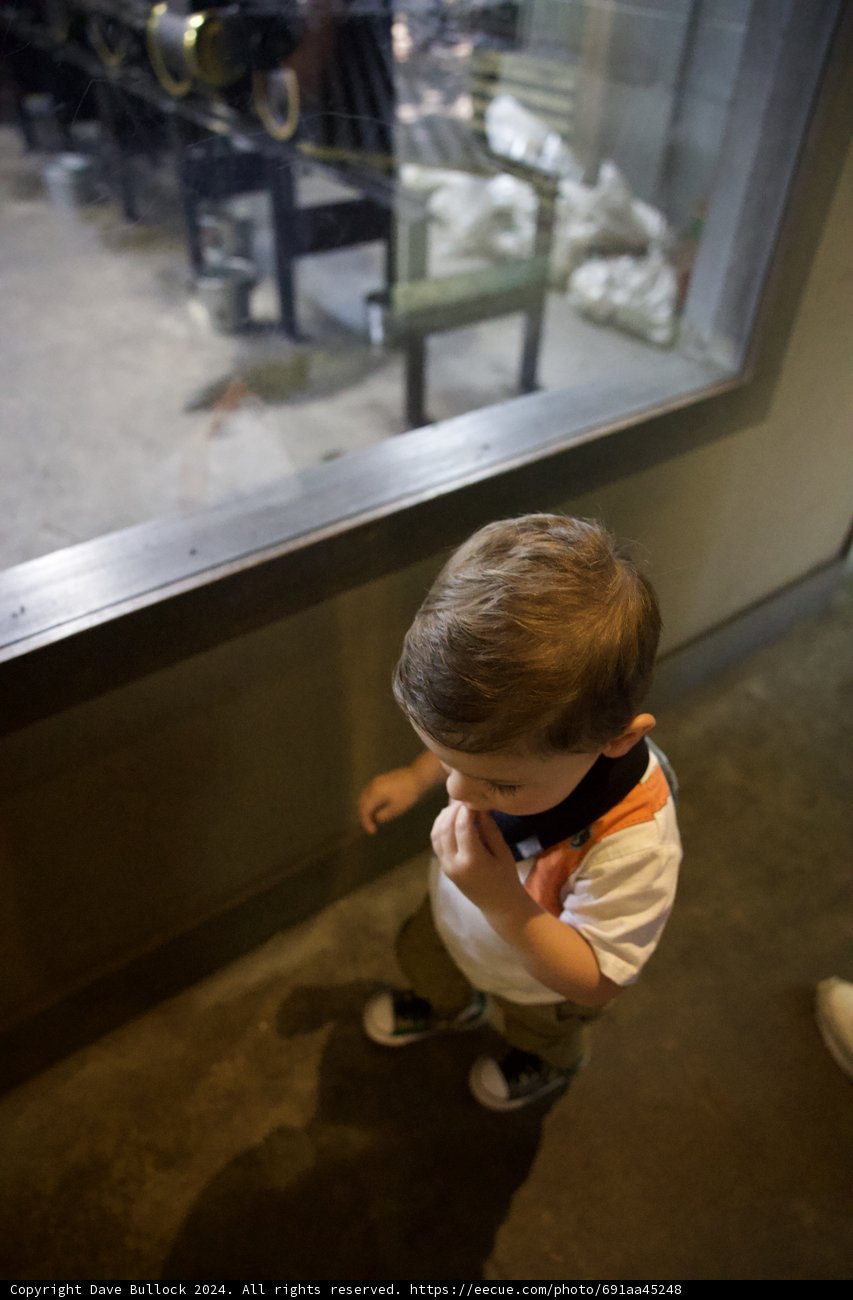 Curiosity at the Steam Train Exhibit