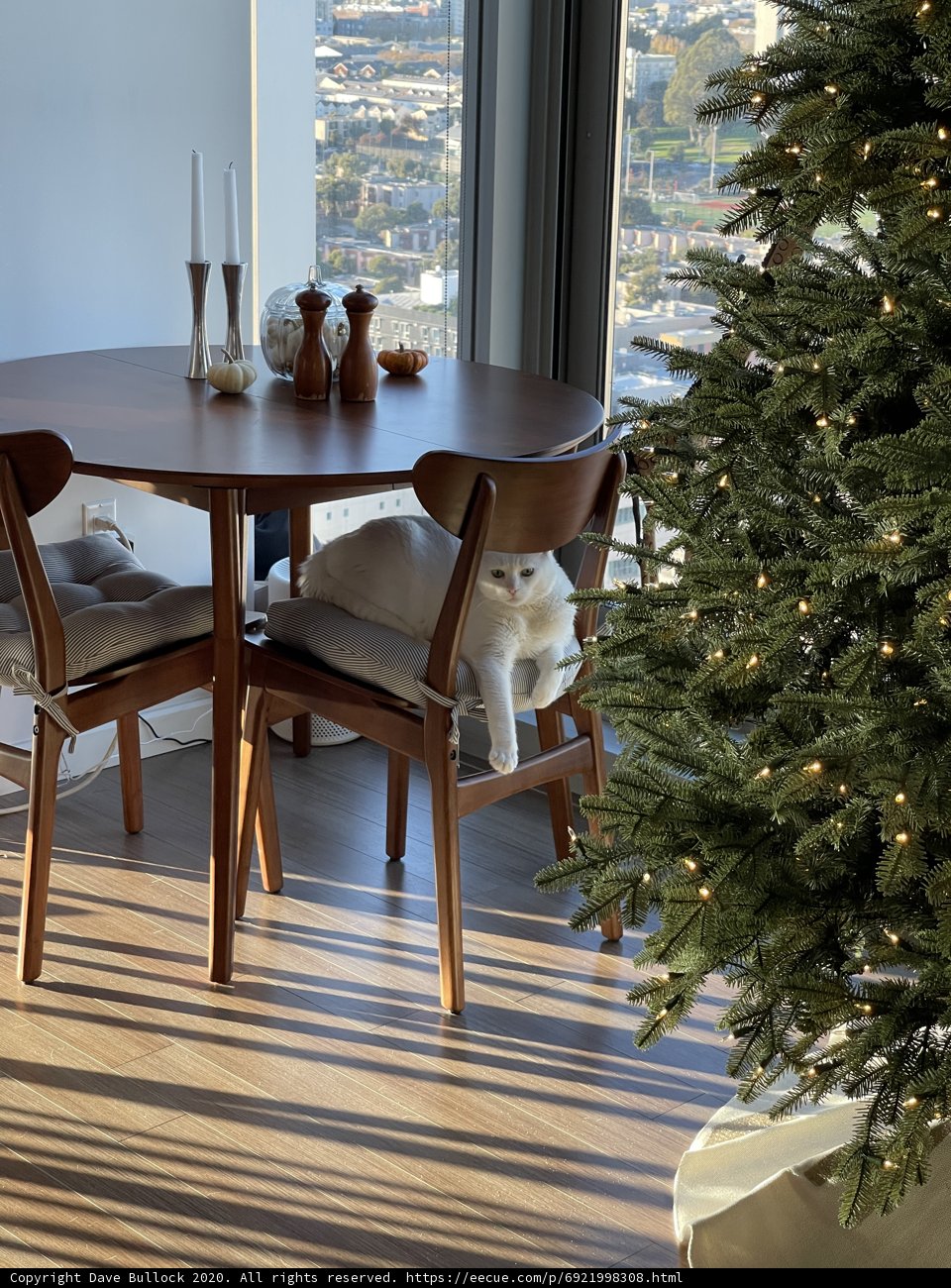 A Cozy Christmas Dinner Table