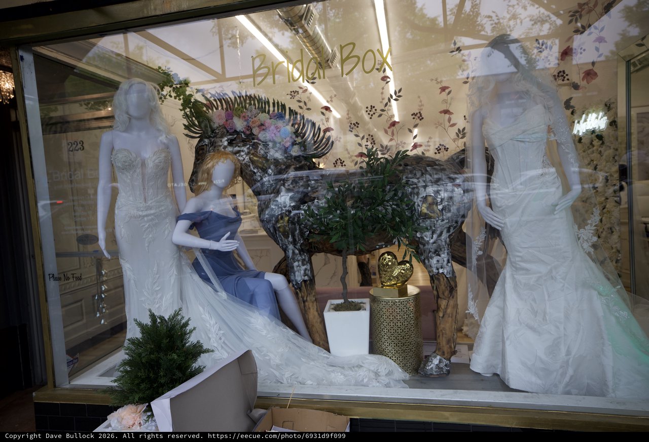 Bridal Box Wedding Dress Boutique Window Display