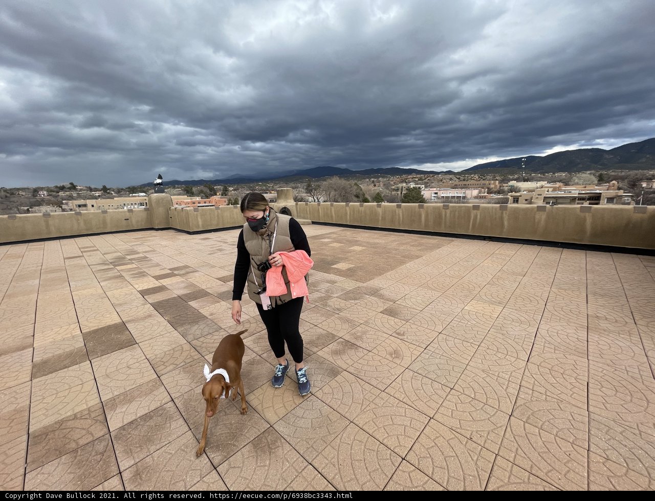 Rooftop Reflections