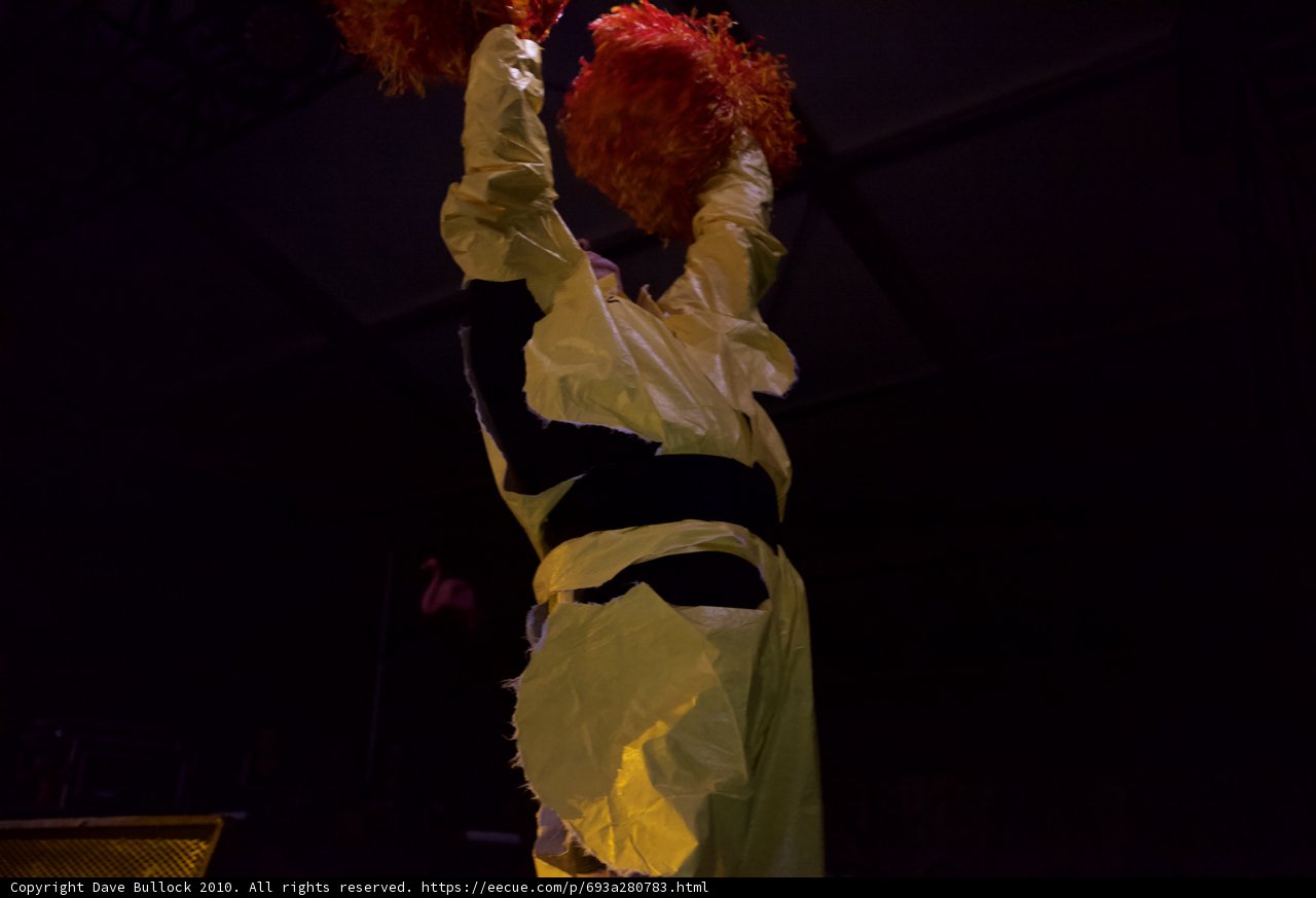 Dancing with Pom Poms