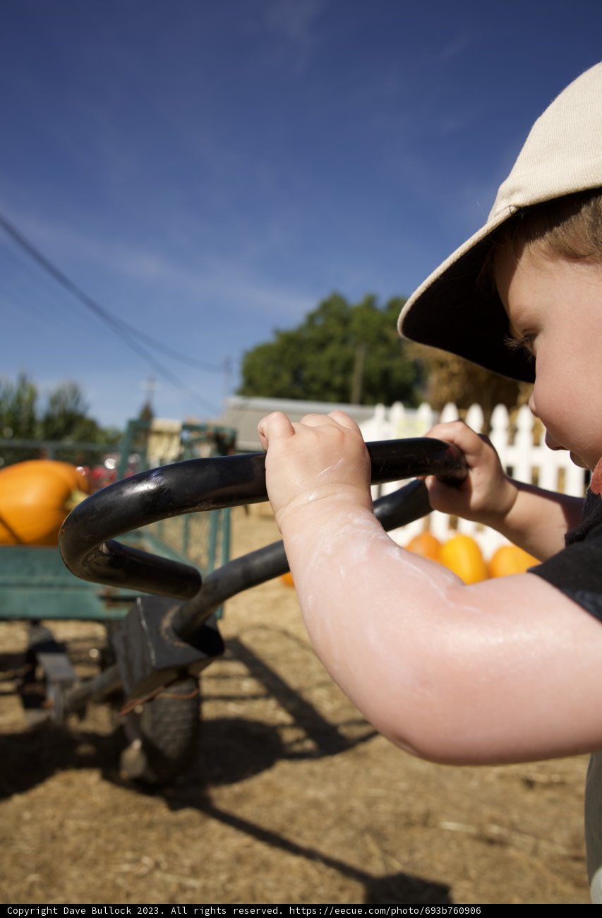 Joyful Harvest in the Pumpkin Patch