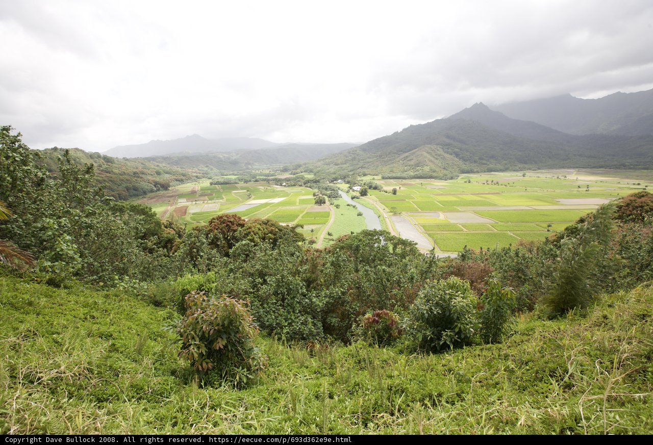 A Scenic View of a Lush Green Valley and Mountain Range