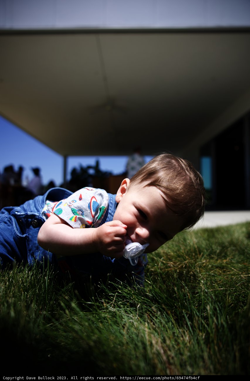 A Serene Moment in the Grass