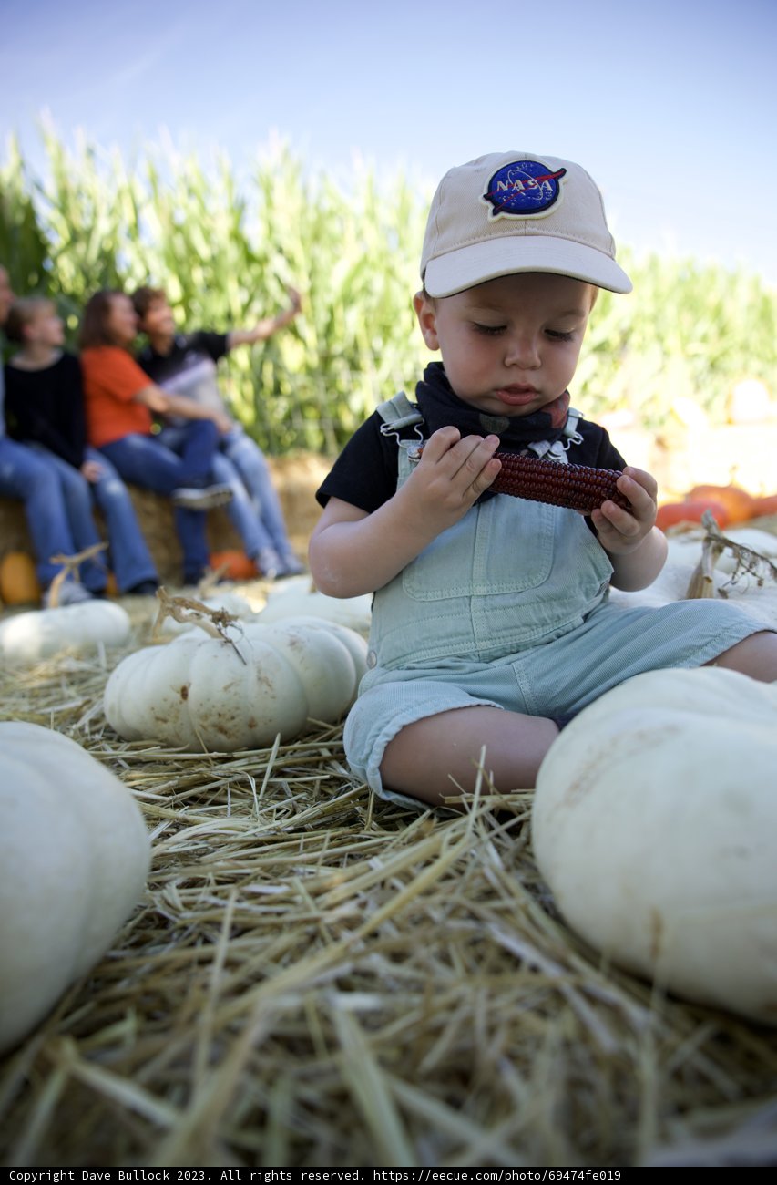 Pumpkin Pile Perch: An Autumn Afternoon with Baby Wesley
