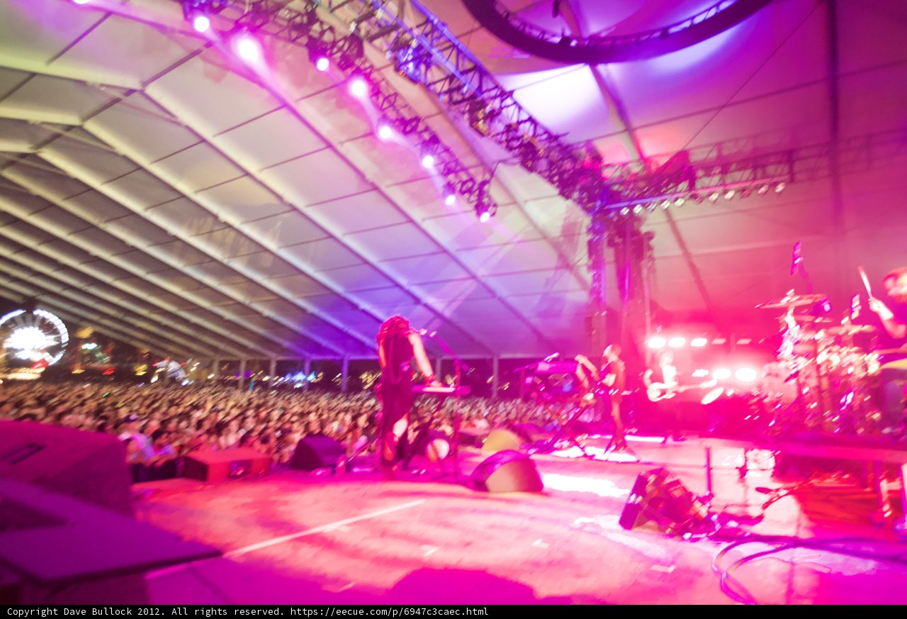 Purple Haze Performance