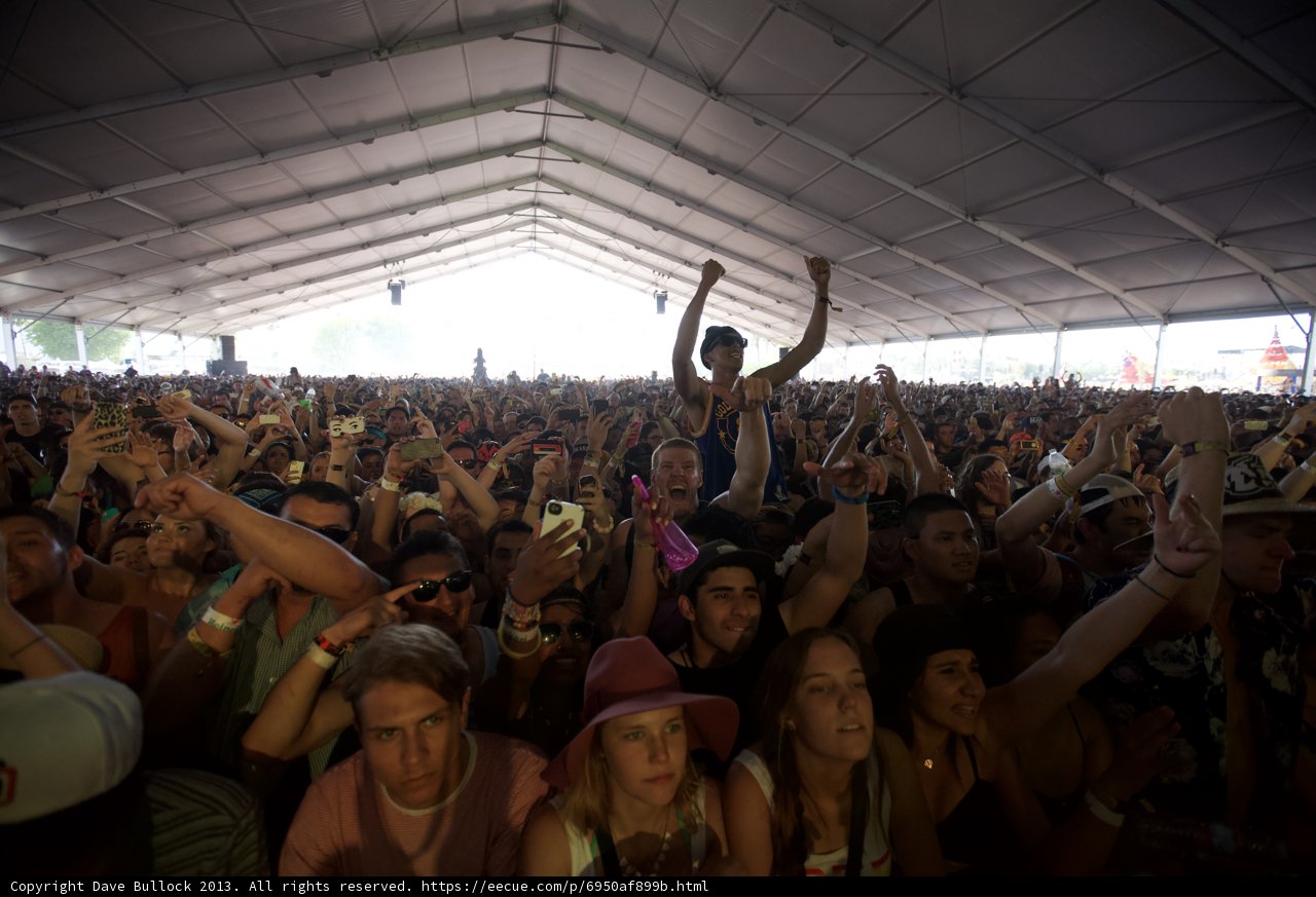Coachella Crowd Vibes