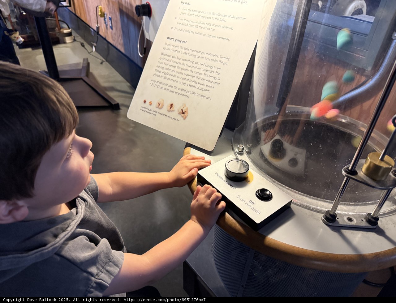 Curious Minds at Work