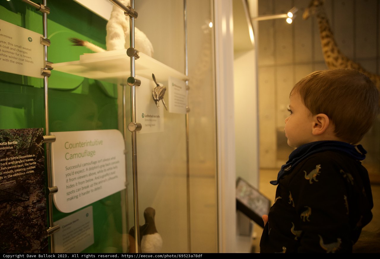 Curiosity Unleashed: A Day at the Academy of Sciences