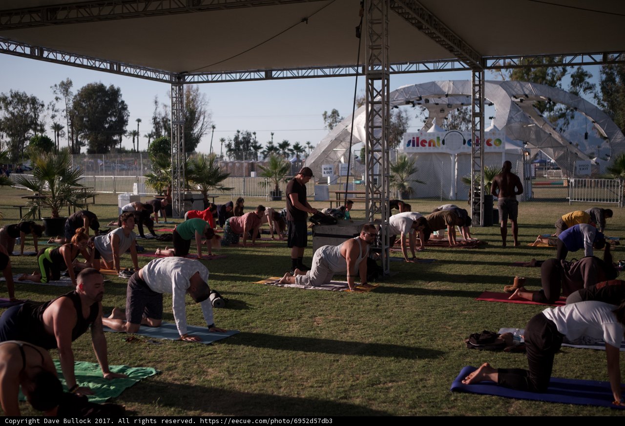 Yoga on the Grass