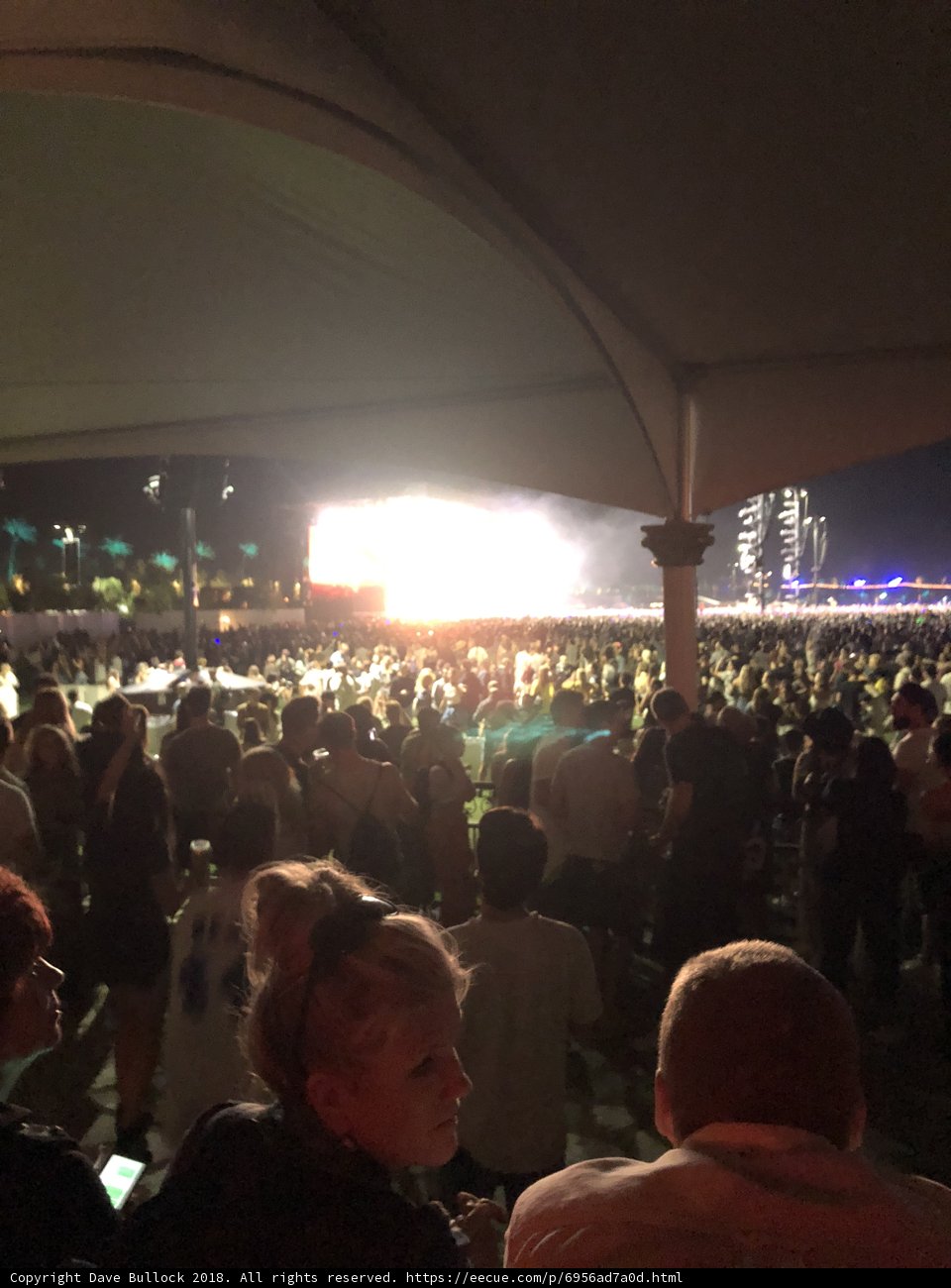 Night-time Crowd Jamming to Live Performance