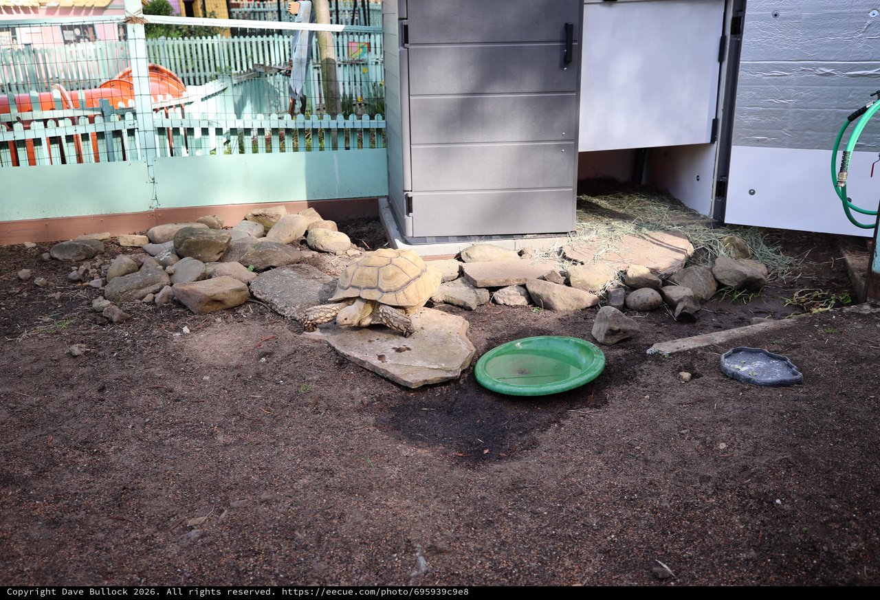 Tortoise Habitat at Fantasyland Animal Enclosure
