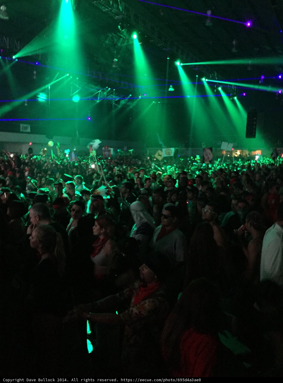 Green Lights and a Thrilling Night