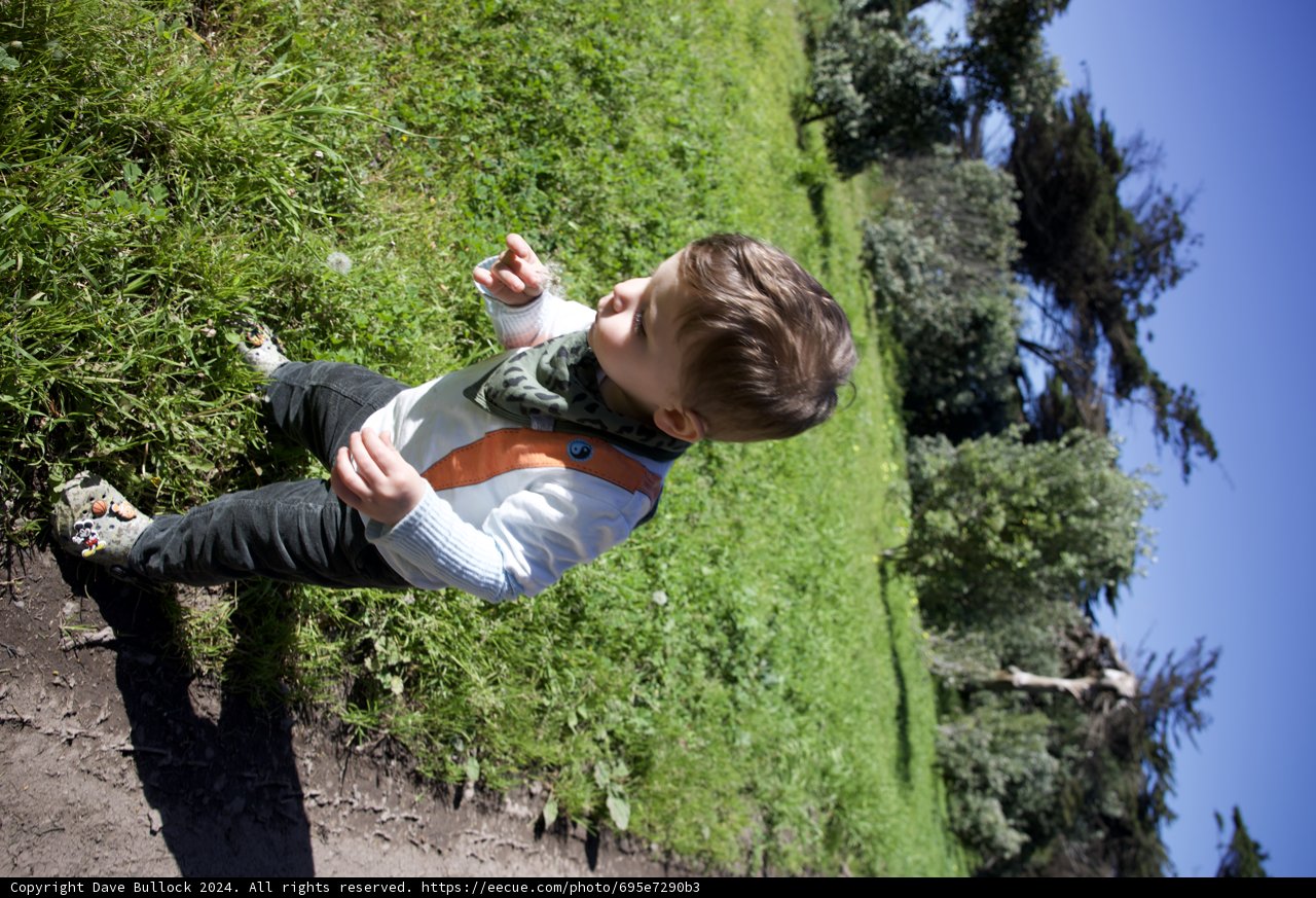 Spring Afternoon Frisbee Fun in Golden Gate Park
