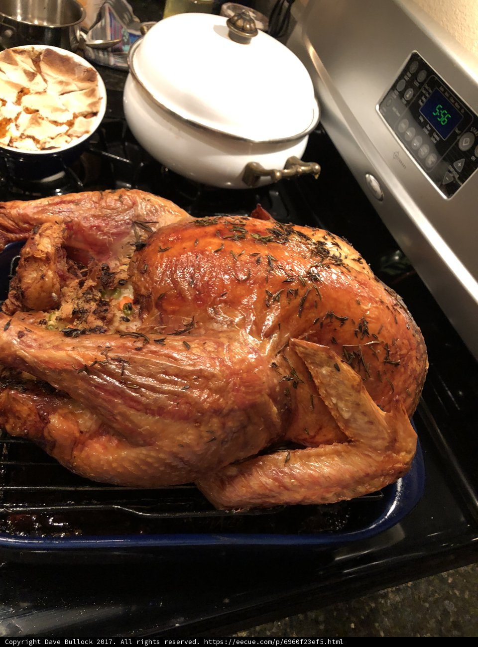 Roasting Turkey Dinner in the Oven