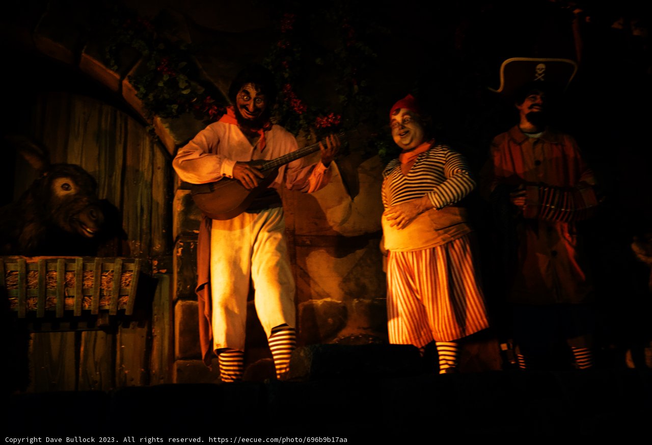 A Whimsical Performance at Disneyland