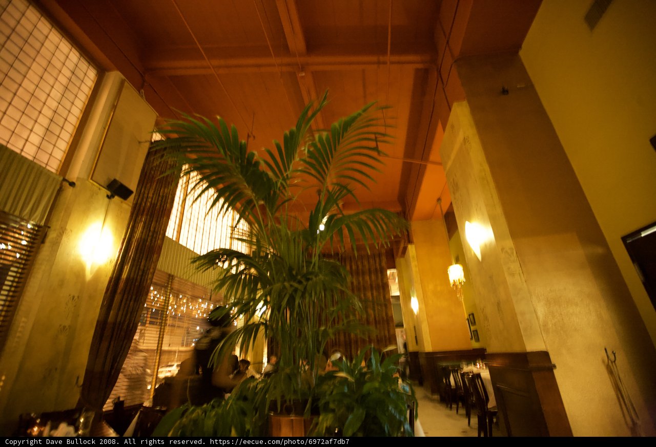 The Grand Plant in the Restaurant