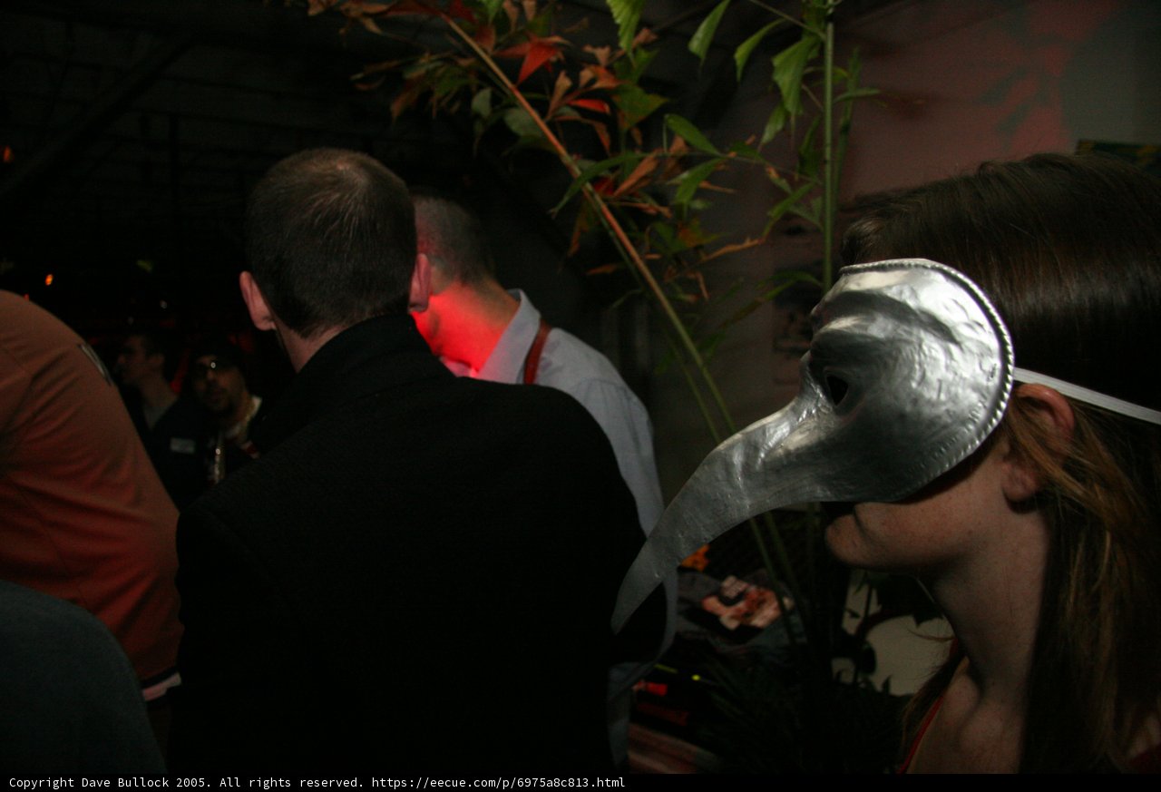 Mystery Woman in Silver Mask