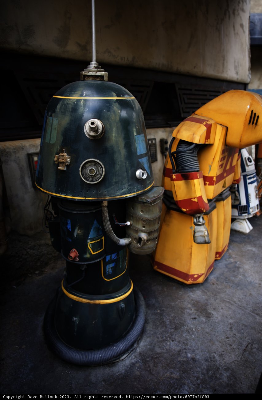 Robotic Helper at Disneyland