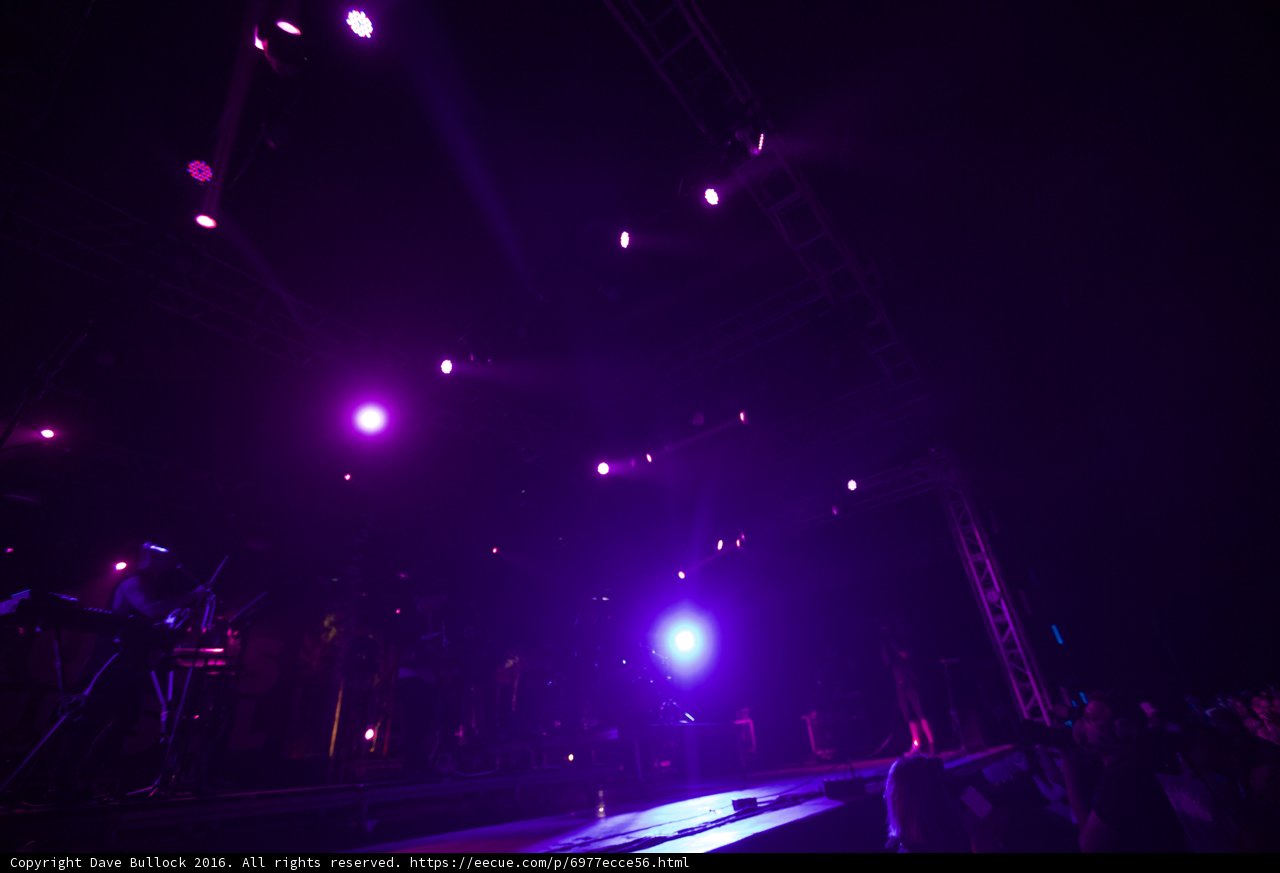 Purple Haze Concert