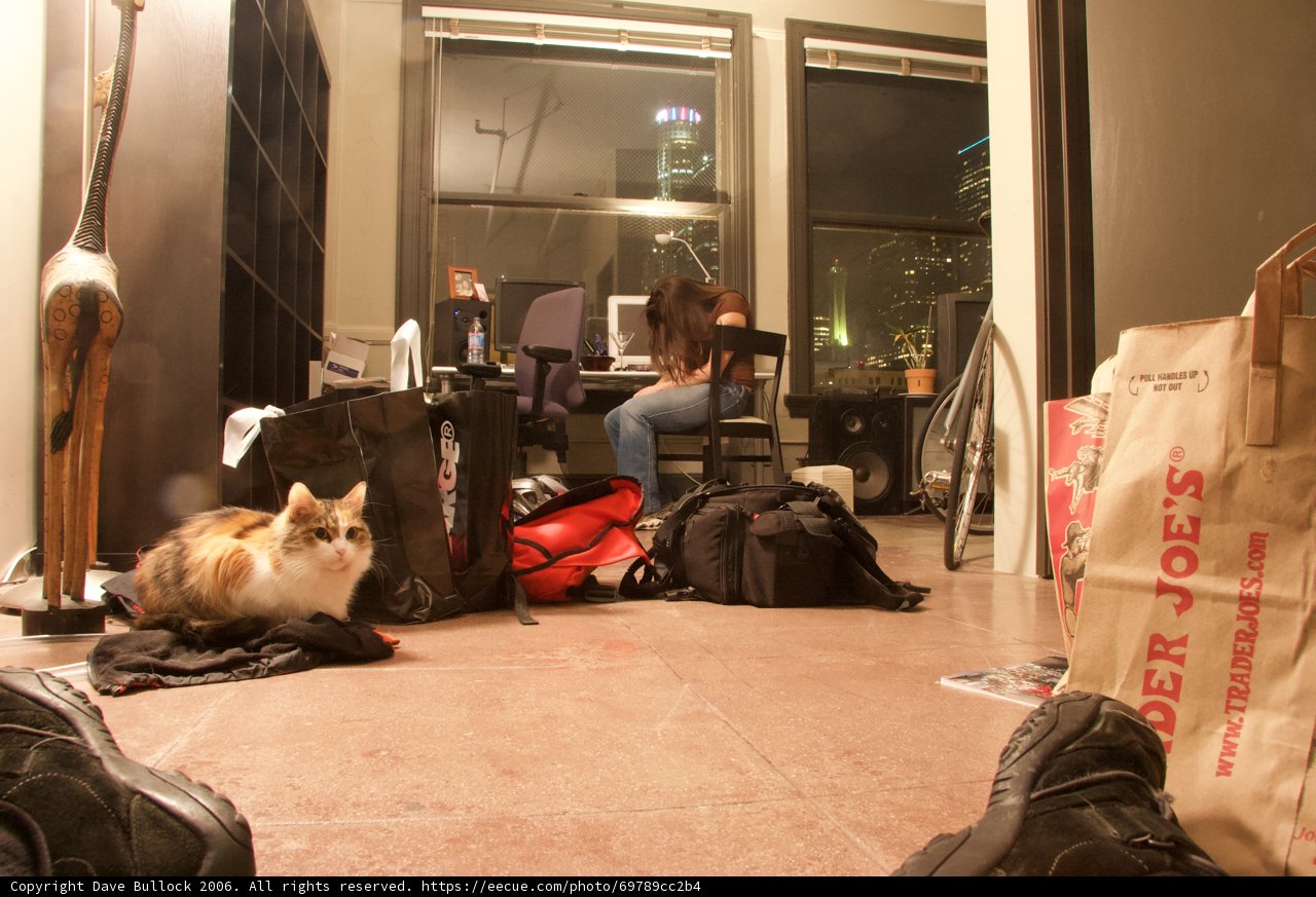 Misplaced Luggage
