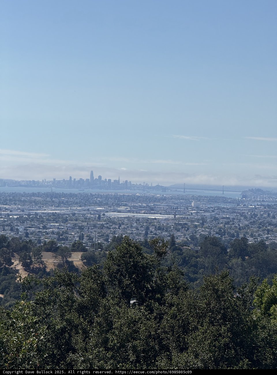 Oakland Horizons