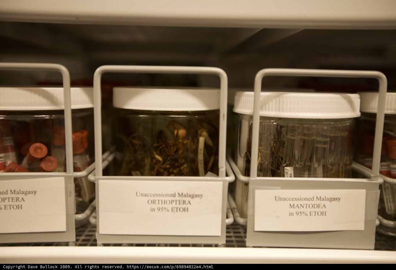A Refrigerator Full of Herbal Delights
