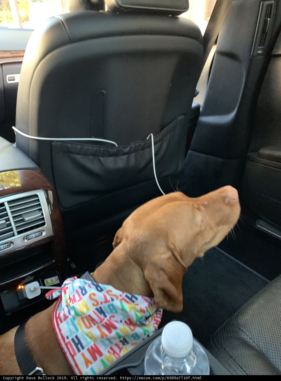 Road Trip Buddy