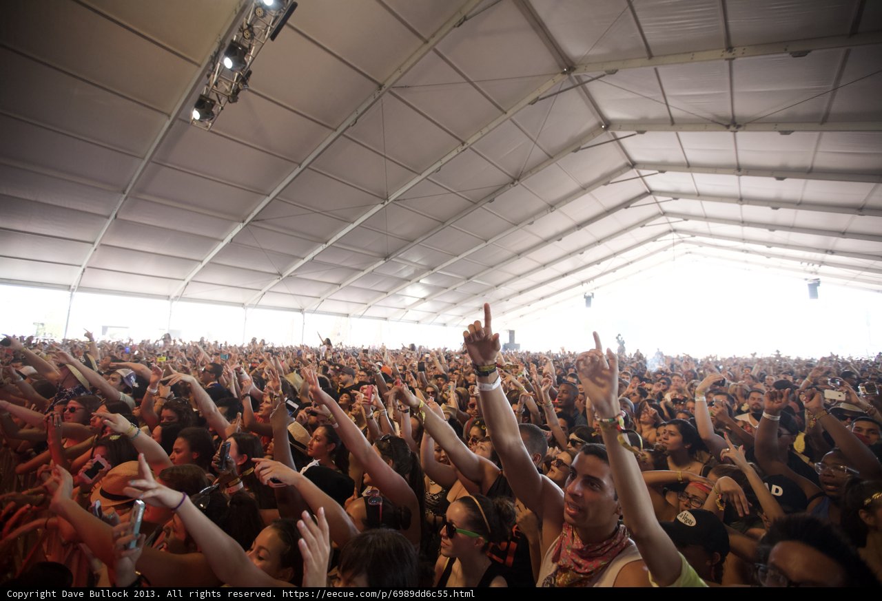 The Electric Crowd at Coachella
