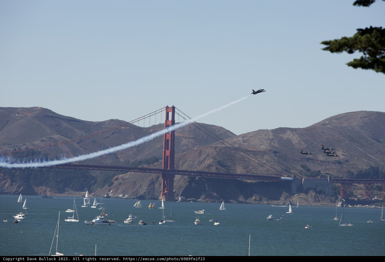 A Harmonious Blend of Engineering and Nature