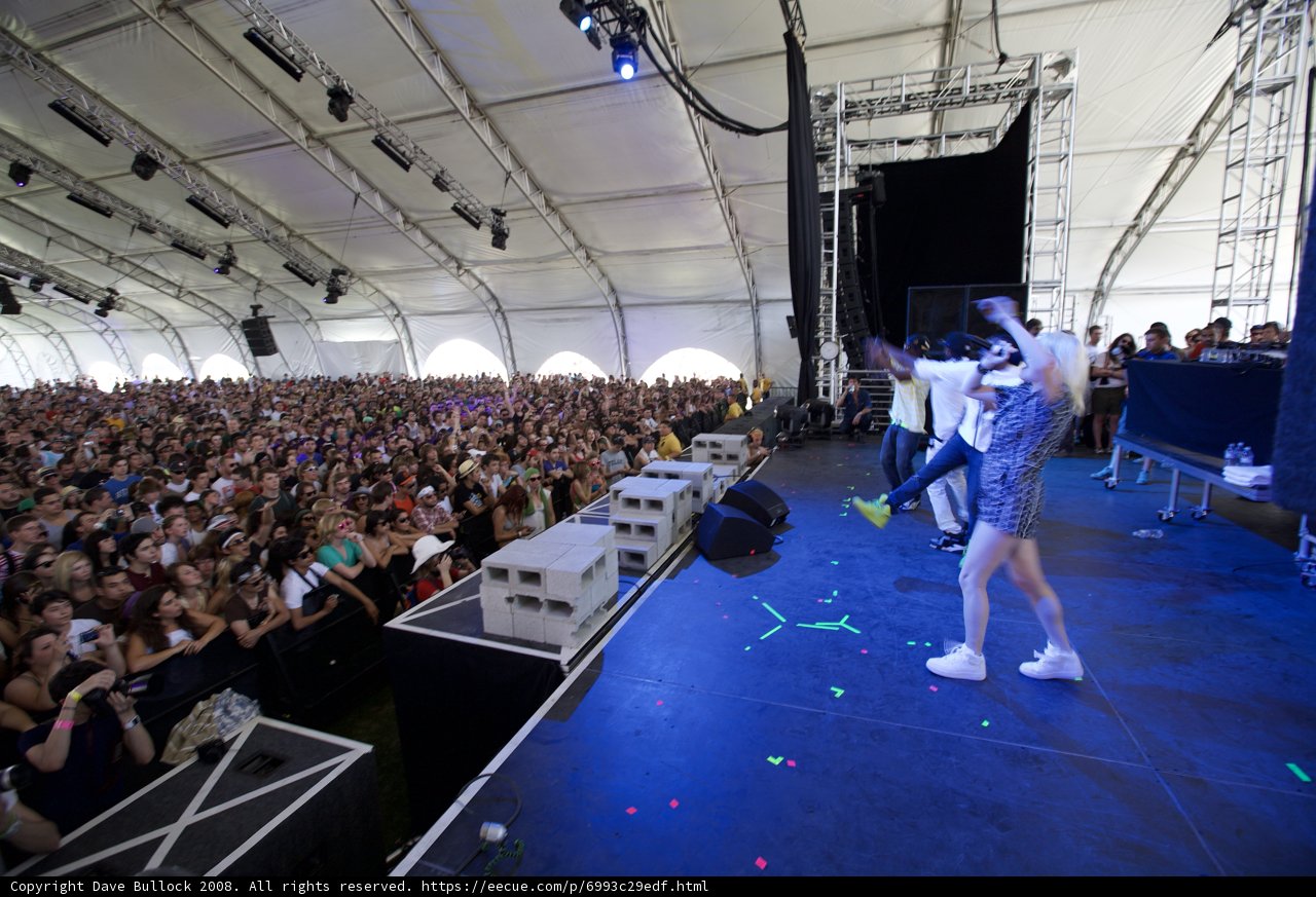 Crowded Concert Chaos