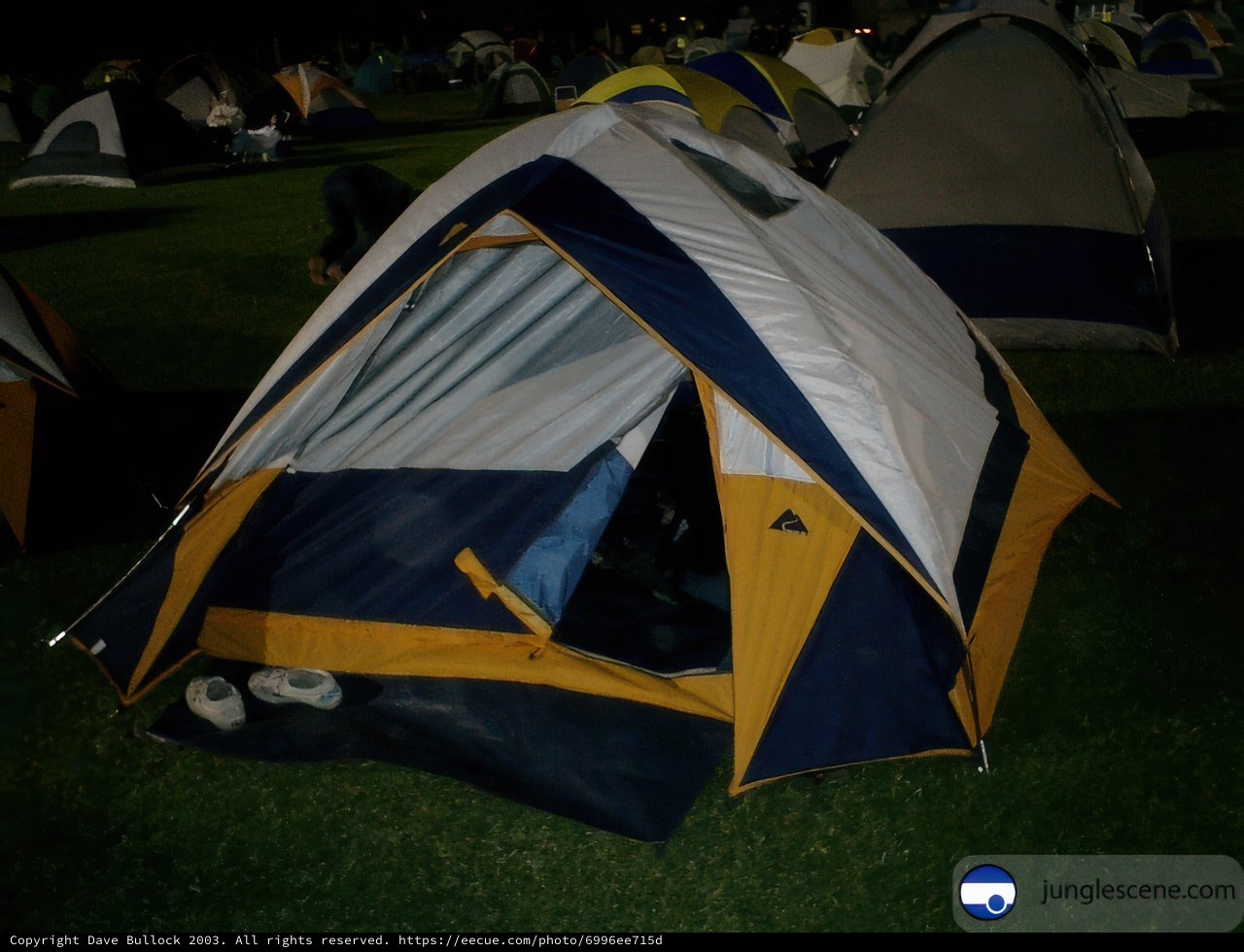 Night Camping in the Great Outdoors