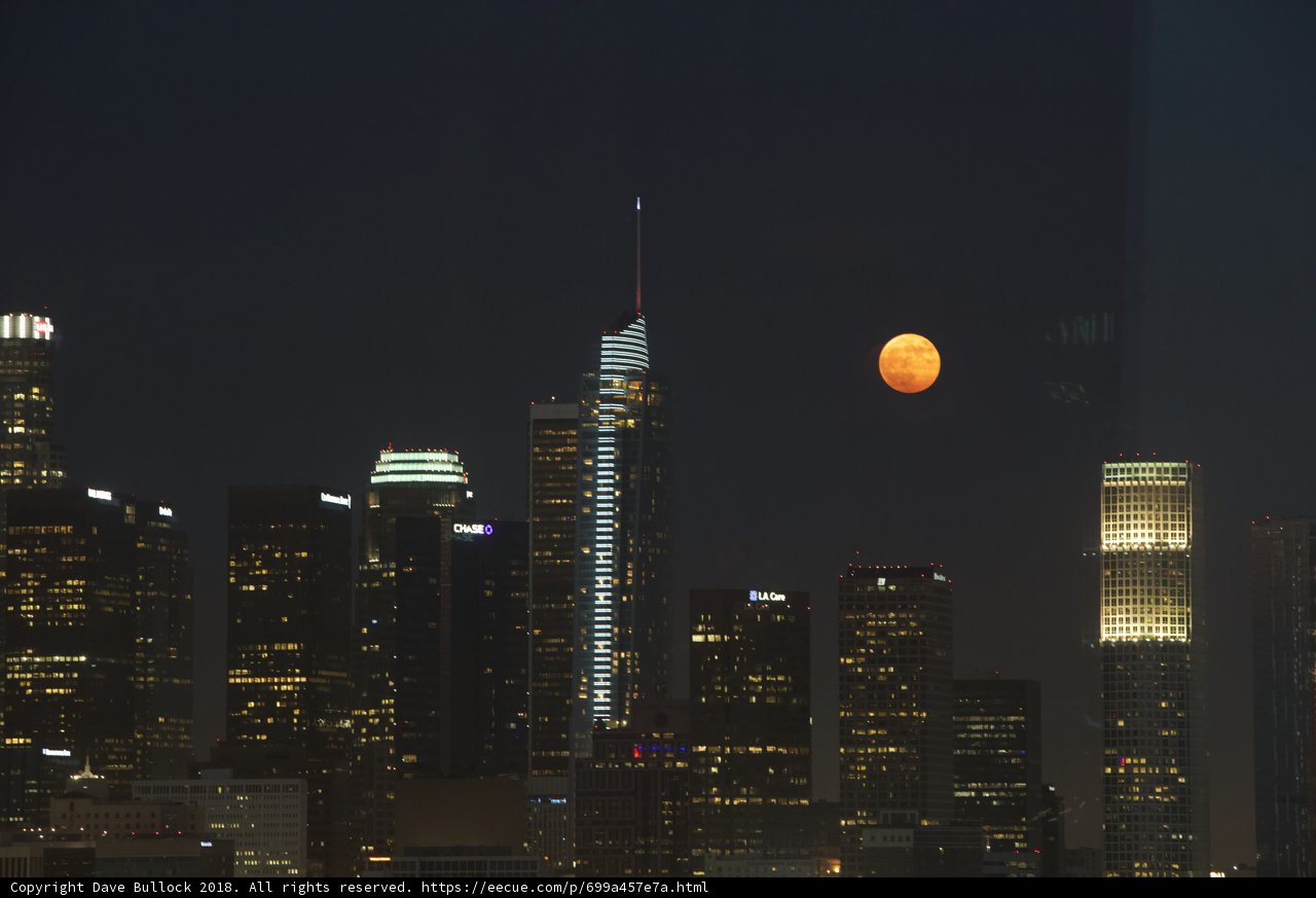 Moonlit Metropolis