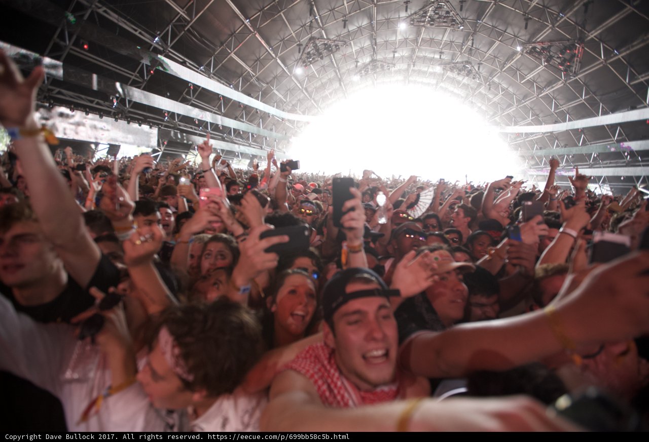 Rocking the Crowd at Coachella