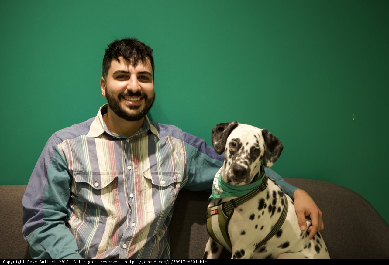 Man's Best Friend