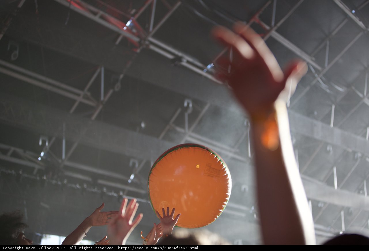 Frisbee Fun at Coachella