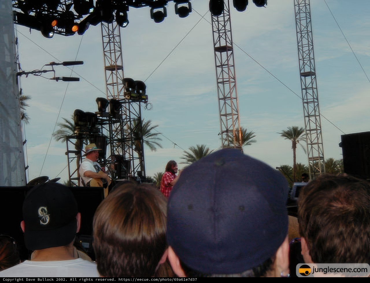 Party in the Palm Trees