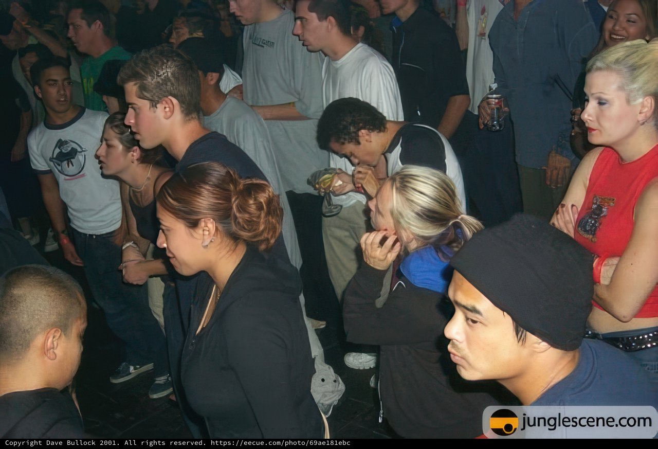 Nightclub Revelers Pack Dance Floor