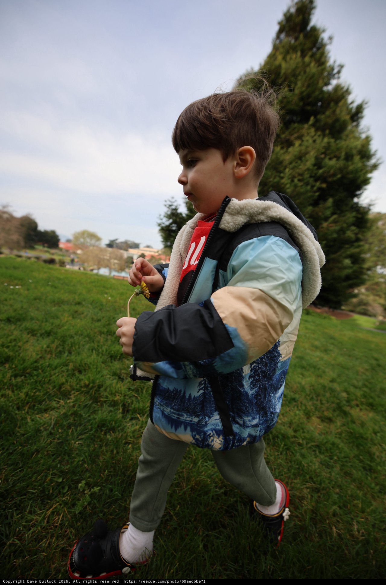 Young Boy Examining Dandelion at Park