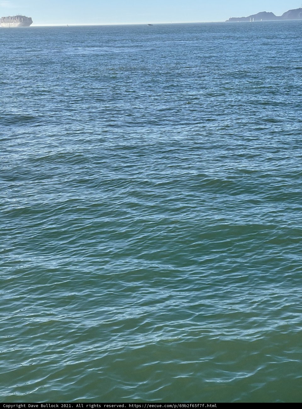 Catching Waves in San Francisco