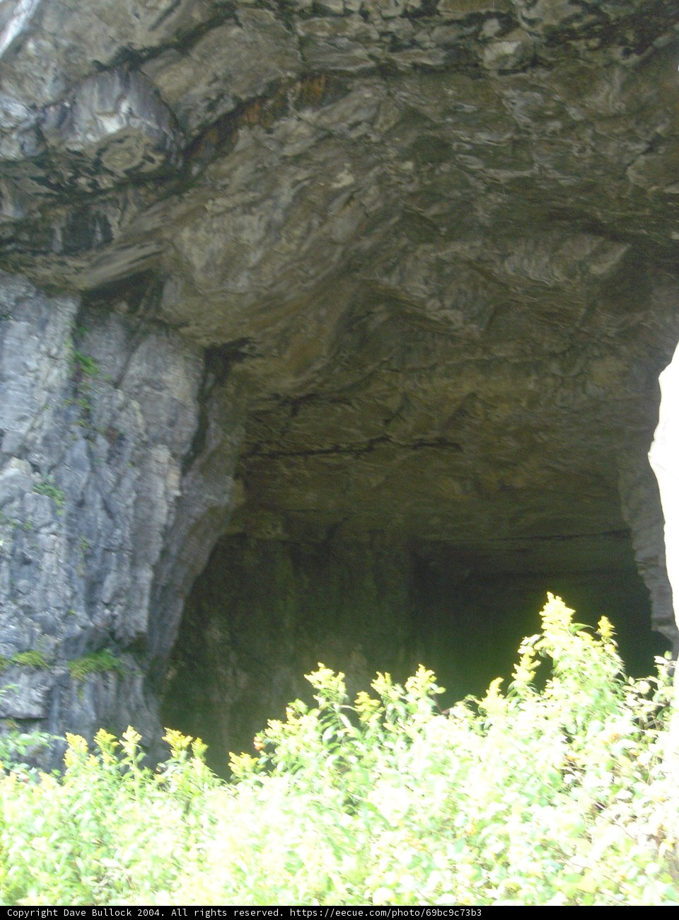 Exploring the Majestic Cove Cave