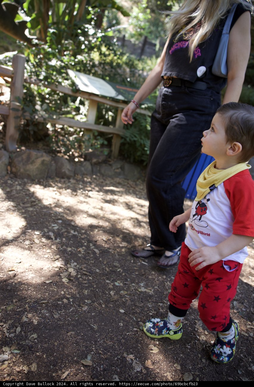 Wesley's Garden Adventure