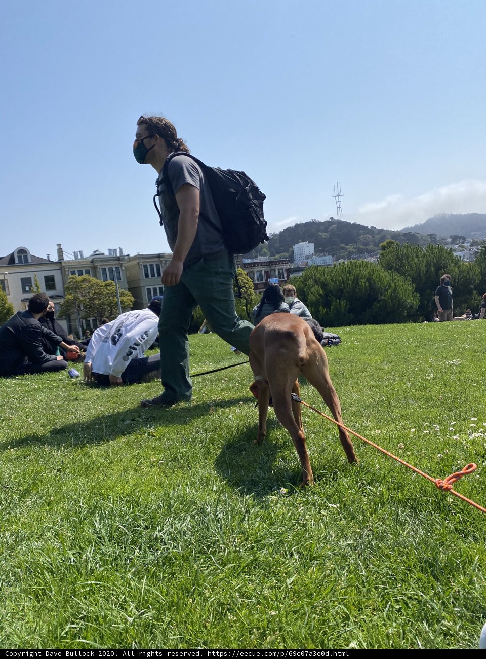 Walking the Furry Companion