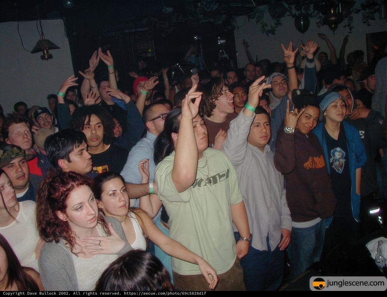 Urban Nightclub Fun